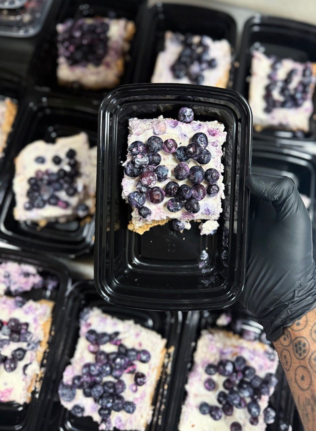 Protein Blueberry Cheesecake