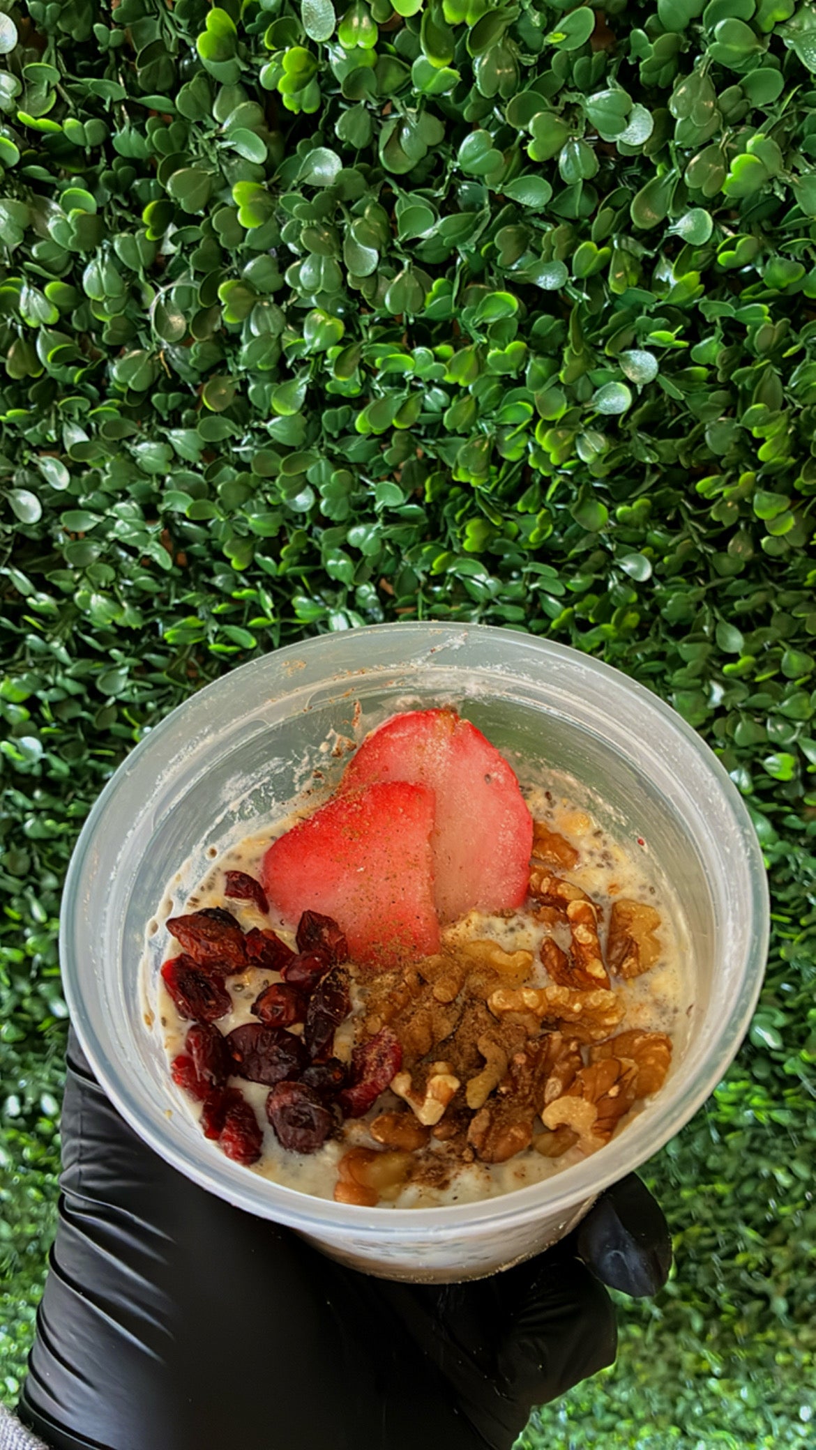 Cranberry & Strawberry Oats