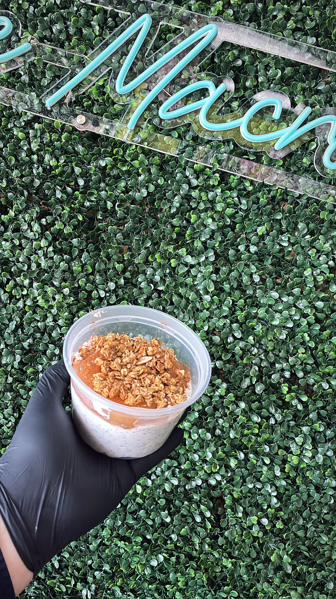 Apple Crisp Chia Pudding