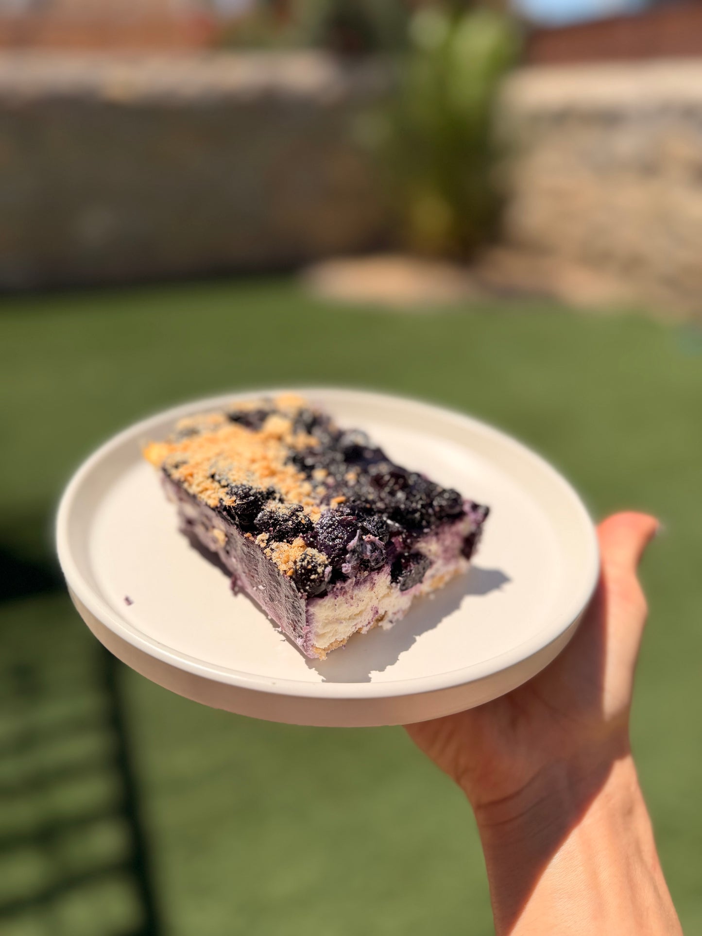 Protein Blueberry Cheesecake
