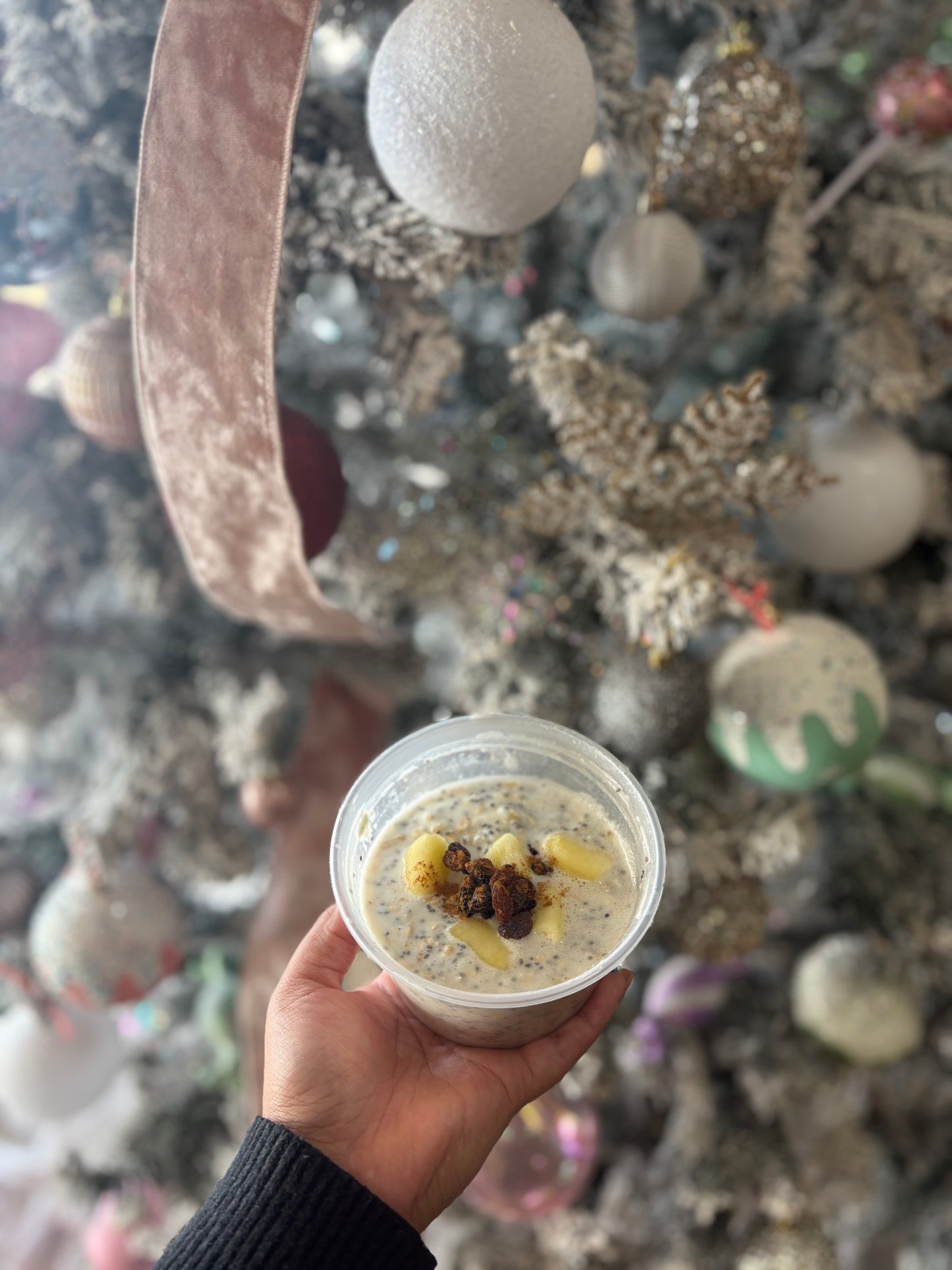 Apple cinnamon Raisin Overnight oats