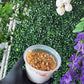 Apple Crisp Chia Pudding