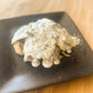 Stuffed spinach ricotta Ravioli