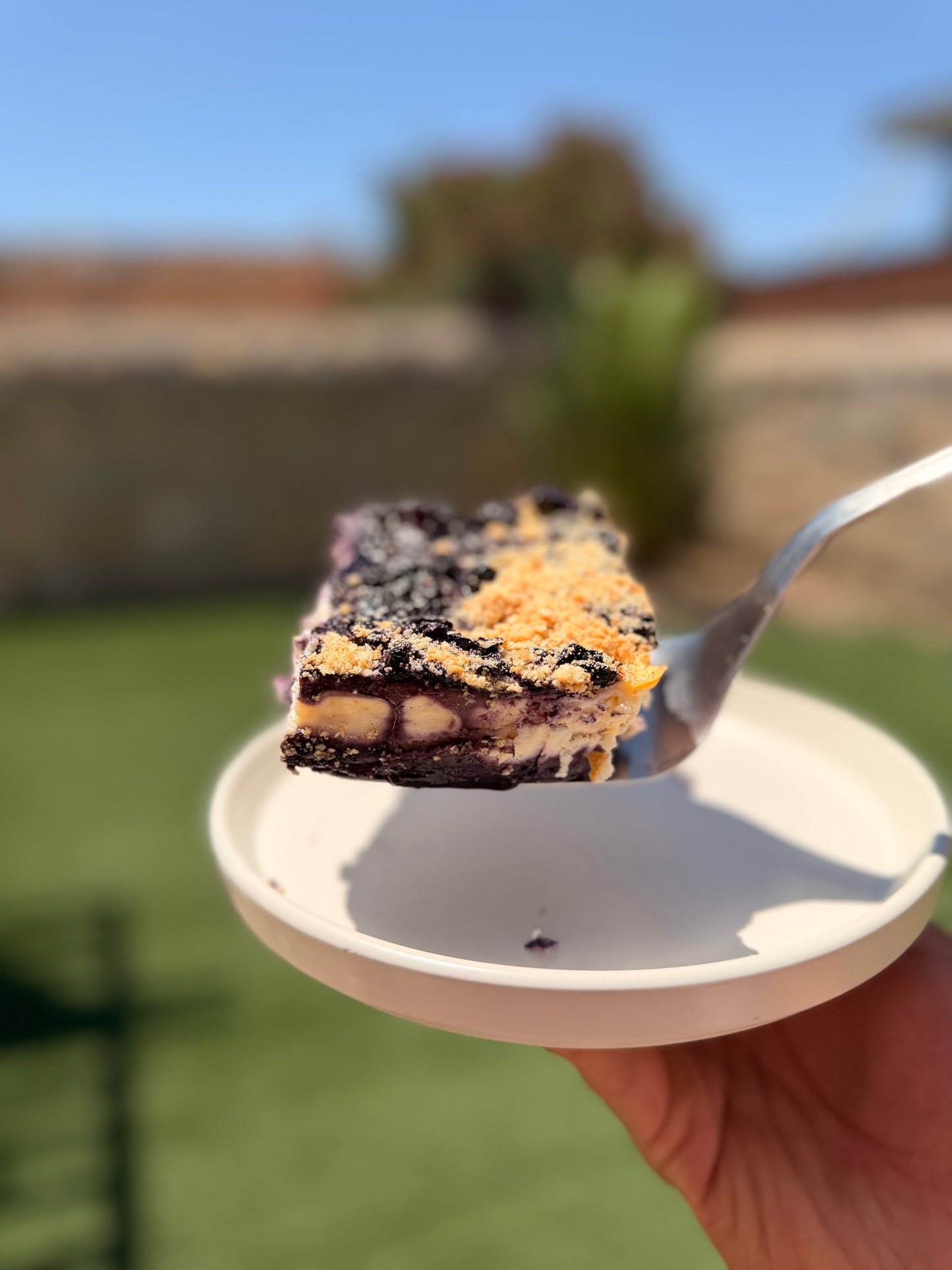 Protein Blueberry Cheesecake