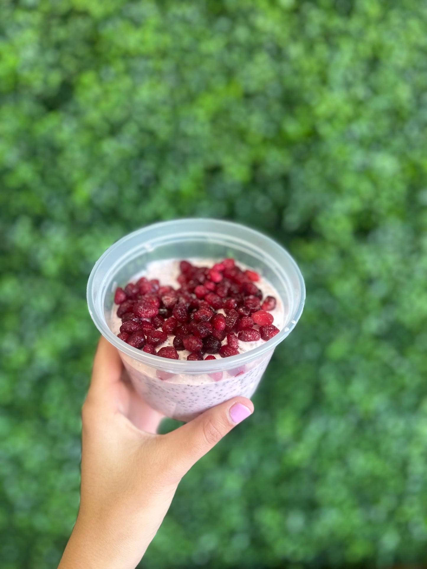 Pomegranate chia pudding
