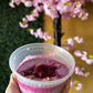 Dragon fruit Chia Pudding
