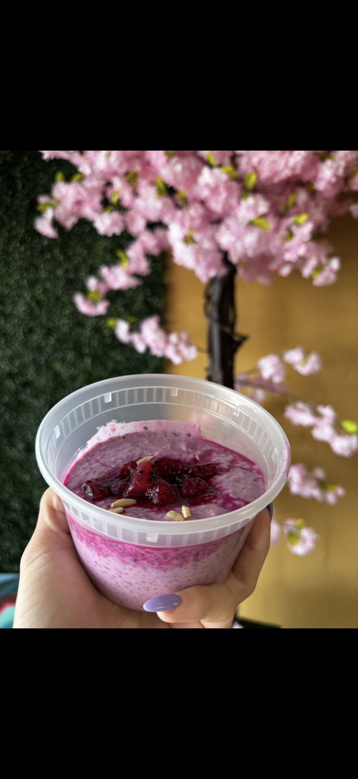 Dragon fruit Chia Pudding